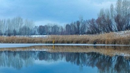 Зима отменяется: в Украине будет тепло, сыро и туманно 