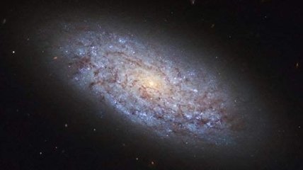 "Лицо Бога": уникальный снимок загадочной галактики