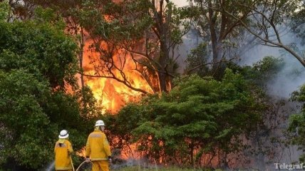 В Австралии продолжают бушевать пожары, уничтожены более 300 домов 