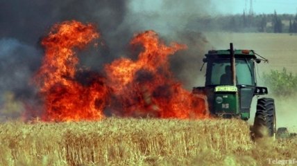 Во Львовской области пожар уничтожил 43 гектара пшеницы