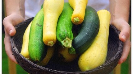 Летний овощ лечит детей от нескольких болезней
