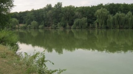 В Кировоградской области из пруда извлекли тело мужчины
