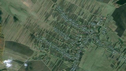На Прикарпатье раскинулось село в форме Герба Украины (Видео)