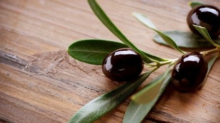 Полезные свойства маслин