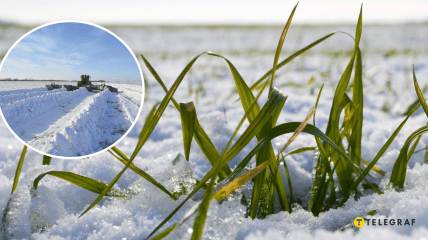 Снег на поле