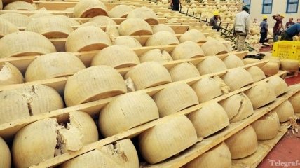 Украина в июне увеличила экспорт сыров почти на треть