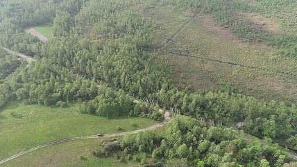 На Житомирщине ураган-смерч уничтожил 100 гектаров леса