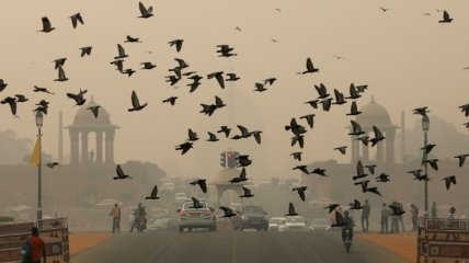 В Дели из-за сильного смога закрыли школы