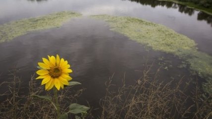 Украинцев предупреждают о подъеме уровня воды в бассейнах рек