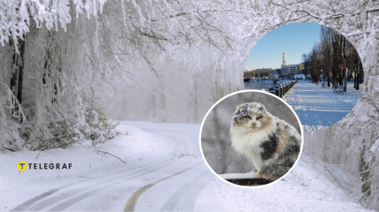 Сніжна погода в Україні