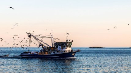 Санкції не винні: російська рибна промисловість страждає через відмову в ремонті суден