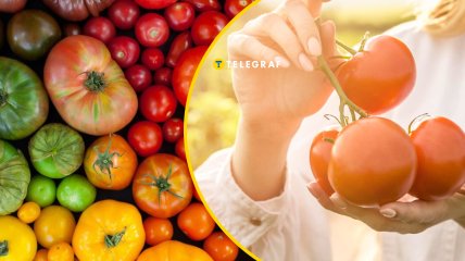 Их уникальный вкус создан с помощью вулканической почвы