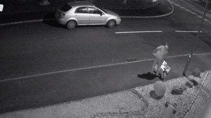 "Душераздирающее" видео: хозяин под Рождество бросил на улице своего пса