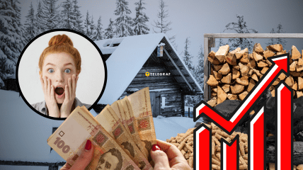 Обігрів будинку і вартість палива