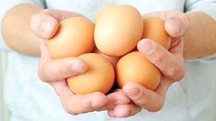 Ученые вывели кур, яйца которых помогают в лечении рака