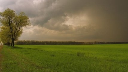 Прогноз погоды на 3 мая: переменная облачность, местами дожди и грозы