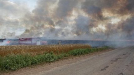 На Донбассе выгорело 60 га пшеницы
