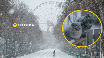 В Харькове ожидается снег и заморозки