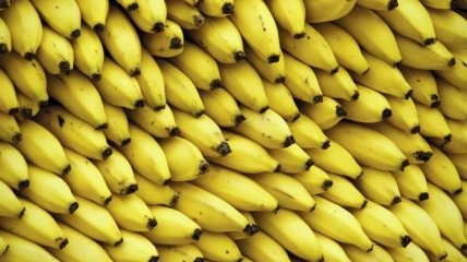 Ученые предупредили о вымирании популярного сорта бананов 