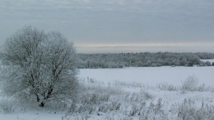 Прогноз погоды в Украине на 15 декабря: пасмурно, ожидается снег