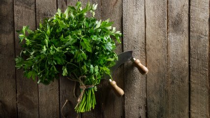 Кріп має магічні властивості