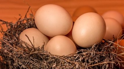 Стало известно, сколько яиц можно есть в день