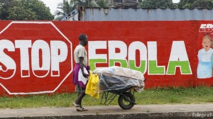 Число погибших от вируса Эбола растет