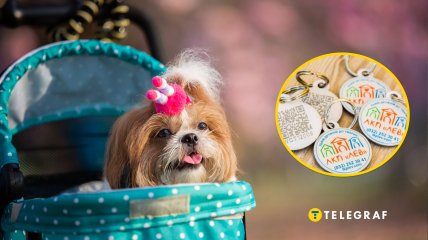 Каждый пес должен носить жетон