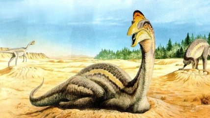 Палеонтологи обнаружили яйца динозавров голубого цвета