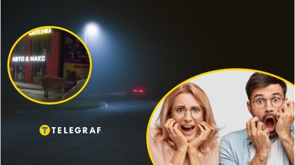 Здоровенные животные напугали людей