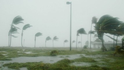 Возросшее число ураганов связали с повышением температуры океана