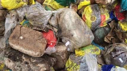 В Ровенской области неизвестные выбросили тысячу буханок хлеба