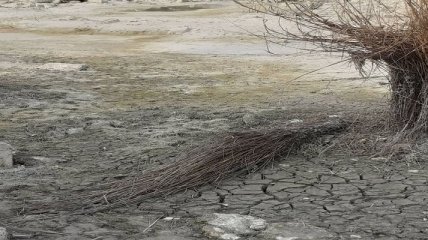 Оккупанты за месяц уничтожили озеро в Крыму: качали воду для своих военных