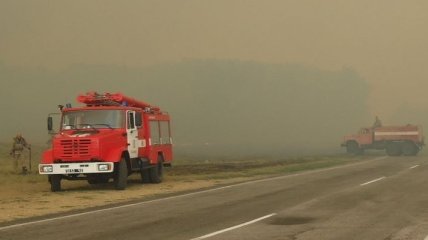 Клюев: Убытки от лесных пожаров на Херсонщине составили 15 млн грн