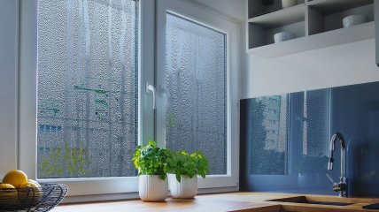 Конденсат на окнах приводит к плесени