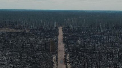 "Ощущение абсолютного апокалипсиса": последствия пожаров под Чернобылем показали на видео