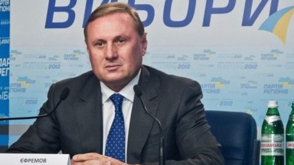 Ефремов призвал мажоритарщиков не дискредитировать Украину