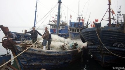 Китай и РФ будут предотвращать незаконный рыбный промысел