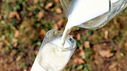 Украинские фермеры страдают из-за импортной молочки