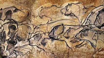 Ученые установили, как выглядели пещерные львы