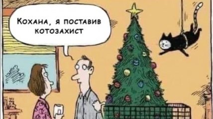 Хто рано встає, того кіт розбудив: смішні анекдоти про хвостатих та вусатих