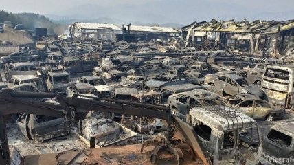 Корею охватили сильные пожары: введен режим ЧП (Фото)