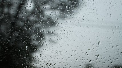 Новая неделя в Украине начнется с дождей 