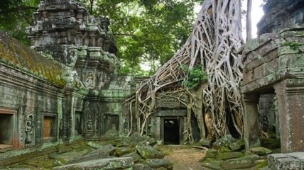 В Камбодже среди джунглей обнаружили новые города империи кхмеров 
