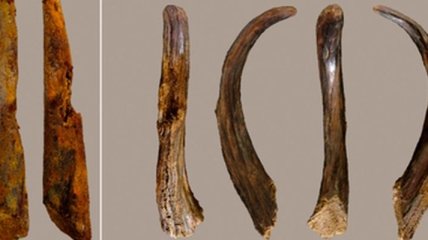 Ученые нашли деревянные инструменты возрастом 90 тысяч лет