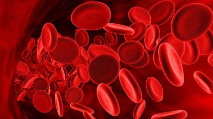Пониженный гемоглобин: как бороться с анемией