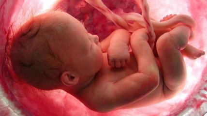 Невероятное видео, показывающее весь процесс развития ребенка в утробе матери