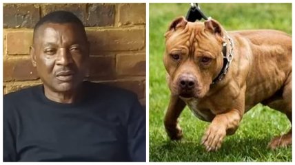Героя сборной Замбии загрызли собственные собаки