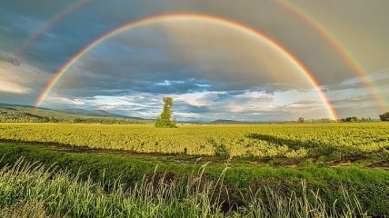 Спека, але з дощами: синоптики озвучили прогноз погоди в Україні на 28 червня