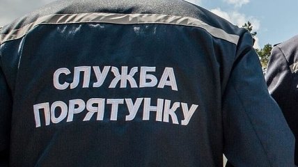 В Житомирской области пенсионерка упала в погреб